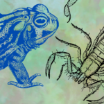 Ranas y escorpiones